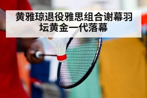 badminton player retirement