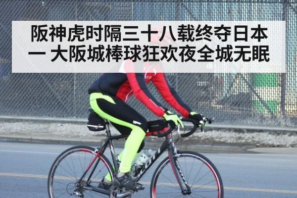 阪神虎时隔三十八载终夺日本一 大阪城棒球狂欢夜全城无眠